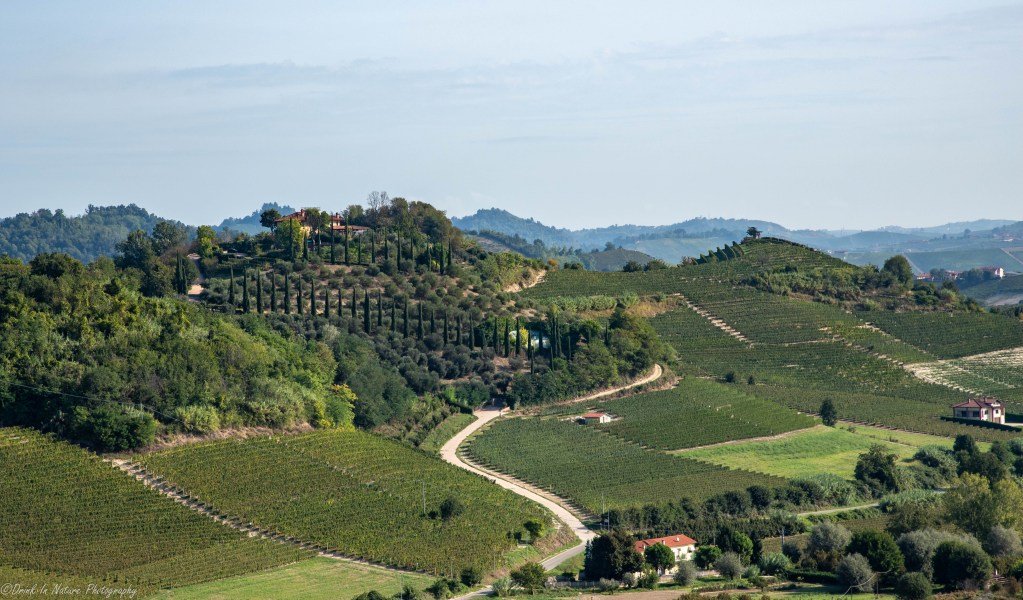 A Language Lesson in Roero Wines – Drink In Life
