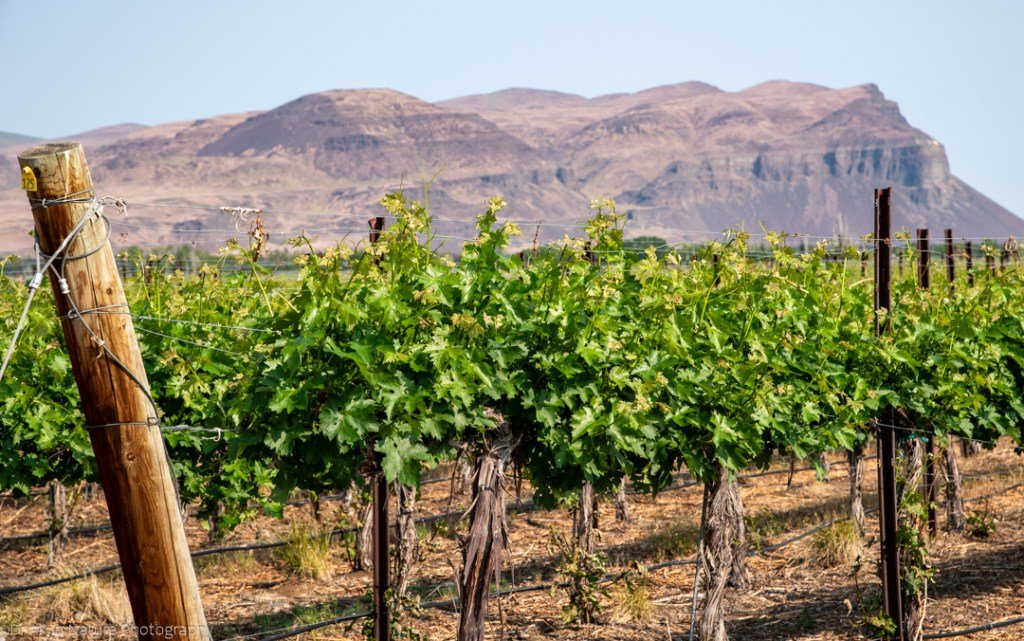 Discovering Wahluke Slope AVA – Drink In Life